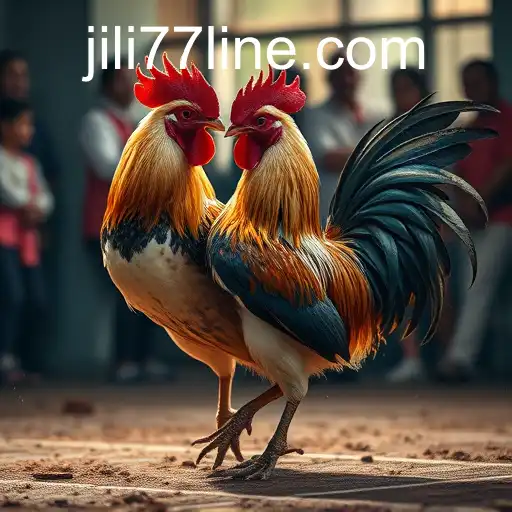 The Rise of Online Sabong: An Insight into JILI77's Influence